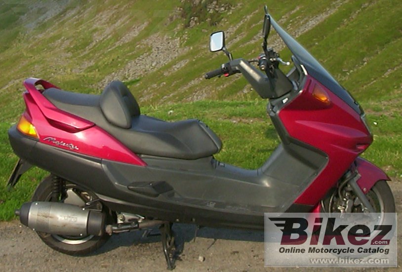 Big G Tuck yp 250 picture and wallpaper from Bikez.com